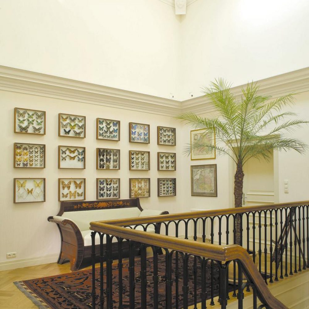 Lawendowy_hall górny